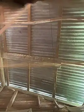 Snapshot of phola12 chatting on February 2025 07:47:02 PM phola12 online show from February 2025 07:47:02 PM