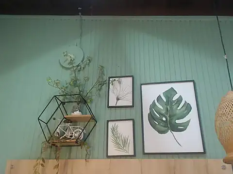 george jonnes online show from November 2025 09:41:01 AM