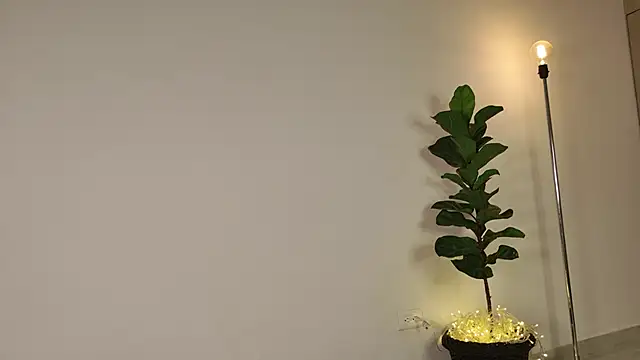 lady ni  online show from December 2025 12:21:02 PM