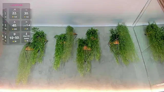 Lana Lann online show from November 2025 12:37:02 PM