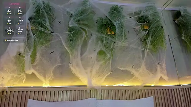 Lana Lann online show from October 2025 12:50:01 PM