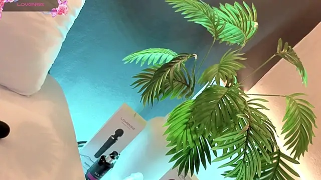 samanthaevanss1 online show from February 2026 02:53:01 AM