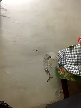 funpharoh1 online show from November 2025 07:41:02 PM