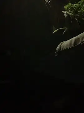 funpharoh1 online show from November 2025 06:51:02 AM