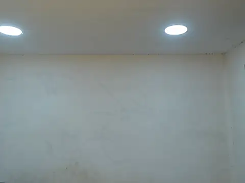 danielitopapuu online show from October 2025 12:37:02 PM