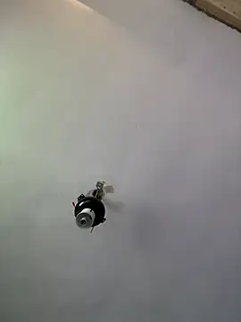 Brando2585 online show from April 2026 01:39:01 PM