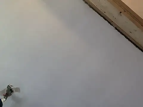 Brando2585 online show from March 2026 02:00:01 PM