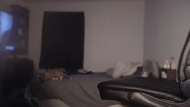 Snapshot of flexingplexico chatting on March 2025 11:17:02 AM flexingplexico online show from March 2025 11:17:02 AM