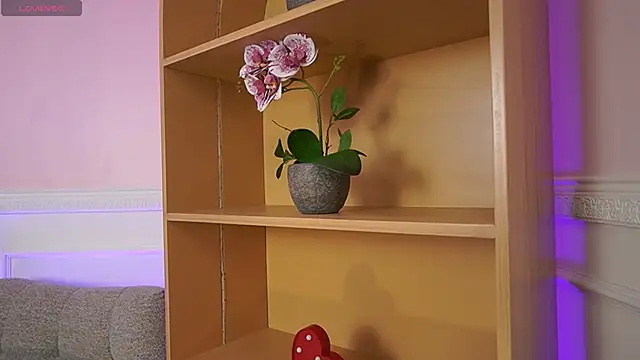 Anybuny online show from November 2025 11:59:02 AM