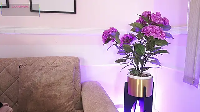 Anybuny online show from December 2025 12:09:02 PM