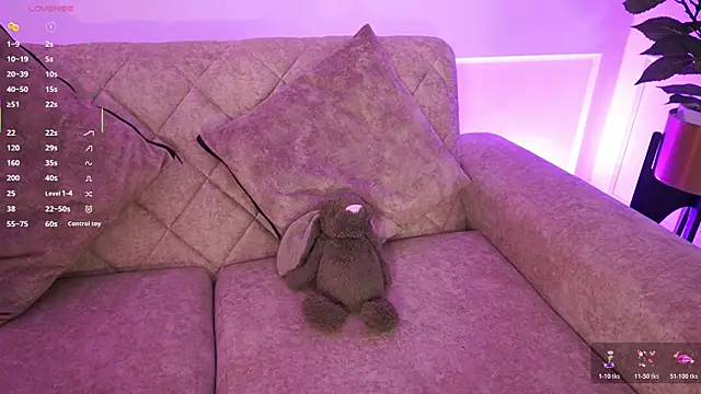 Anybuny online show from February 2026 12:48:02 PM