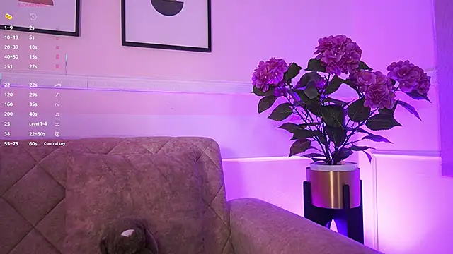 Anybuny online show from February 2026 11:38:02 AM