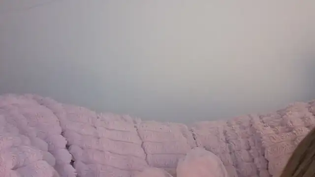 Snapshot of SofiaGc chatting on January 2026 03:46:01 AM SofiaGc online show from January 2026 03:46:01 AM