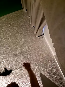 kitty 84 online show from March 2026 10:02:01 AM