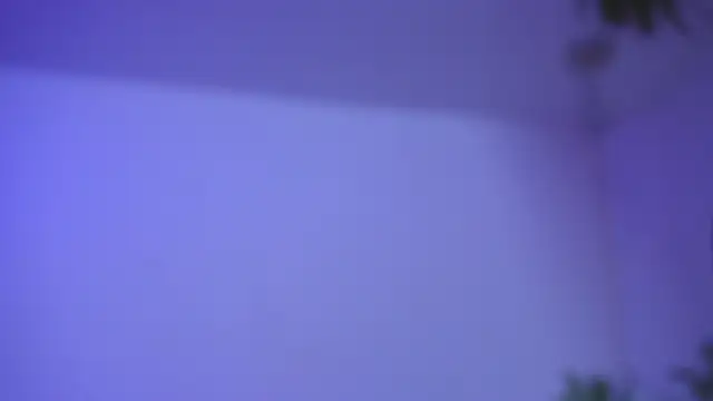 catalina  lovers online show from December 2025 05:29:02 PM