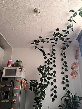 elizatexx online show from April 2026 05:19:01 PM