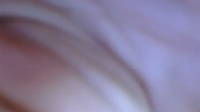 ziggyspice online show from December 2024 12:48:02 AM