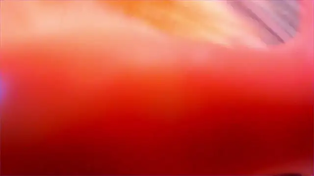 Eva Davi online show from March 2026 03:06:01 AM