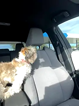 Snapshot of SafeinouterSpace chatting on November 2025 09:37:01 PM SafeinouterSpace online show from November 2025 09:37:01 PM