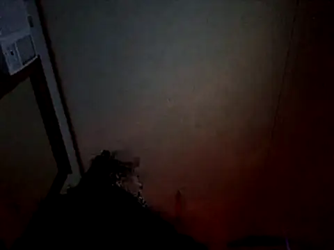 Snapshot of Off_the_Lesh chatting on July 2026 04:07:01 PM Off the Lesh online show from July 2026 04:07:01 PM