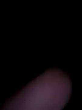 Off the Lesh online show from January 2026 04:54:02 PM