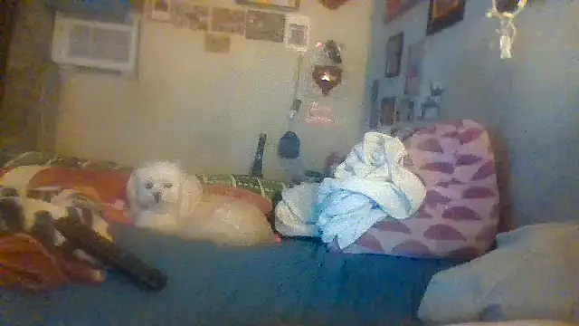 hornyrich69 online show from December 2024 07:54:02 AM