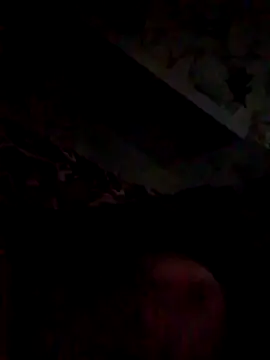 Jefrey1113 online show from March 2026 11:25:01 PM