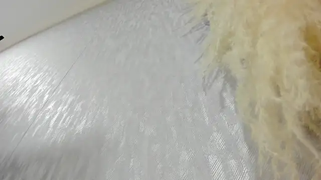 Lissalittlee online show from October 2025 07:57:02 PM