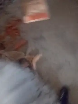 Kurtsikicixh online show from November 2025 02:53:02 PM