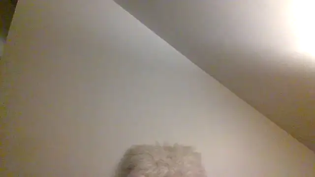 AllLeggs online show from December 2024 07:39:02 AM