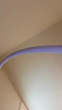 AllLeggs online show from May 2026 03:53:02 PM