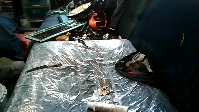 robeaulieu02 online show from November 2025 05:13:02 PM