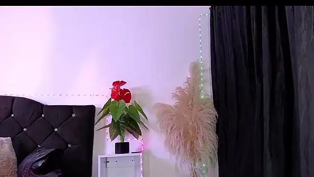 john cartter1 online show from January 2026 12:12:02 PM