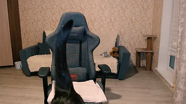 Snapshot of PDiddy_ chatting on February 2025 07:50:02 PM PDiddy online show from February 2025 07:50:02 PM