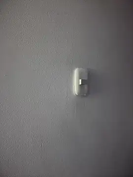 carolina  star online show from November 2025 02:26:02 AM