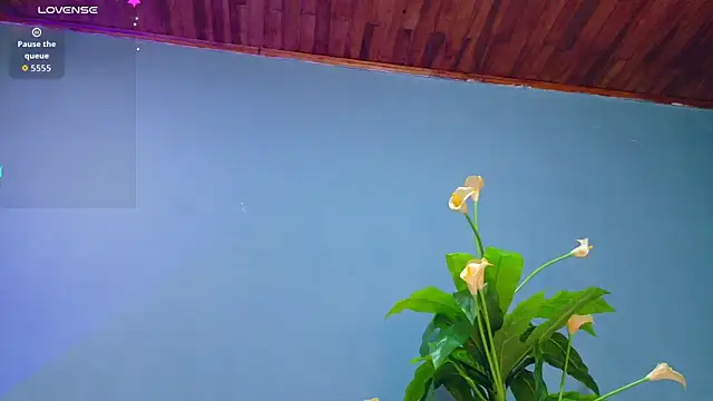 french sexx online show from September 2025 01:30:01 AM