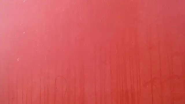 Freyja eter online show from January 2026 07:41:02 PM