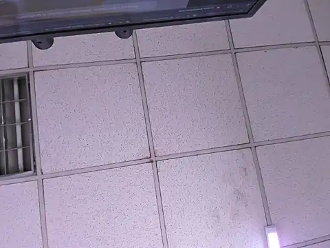 VaneLin18 online show from December 2025 08:30:02 PM