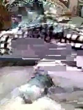 AHMED0233 online show from April 2026 12:14:01 AM