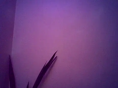 Malandralle online show from November 2025 05:30:01 AM