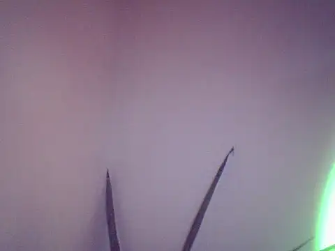 Snapshot of Malandralle chatting on December 2025 05:47:02 PM Malandralle online show from December 2025 05:47:02 PM