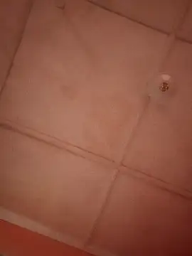 bebsexy online show from December 2025 12:55:01 PM