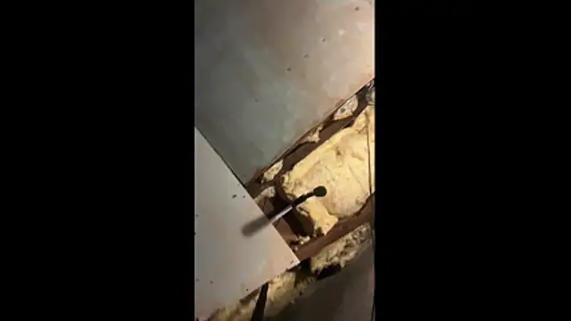 Manwhorxxlcock online show from March 2026 10:33:02 AM