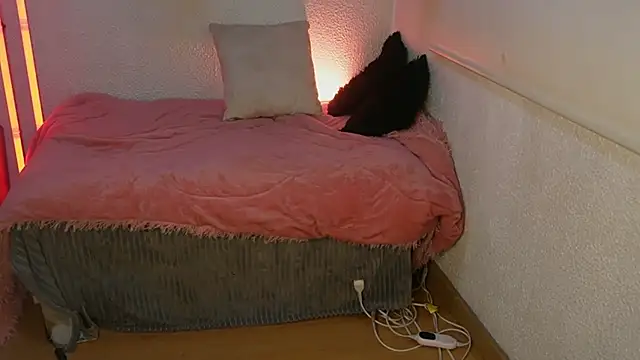 ari kat online show from April 2026 03:24:02 AM