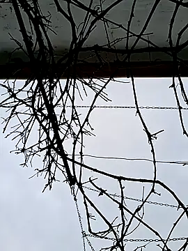 SexyNicool35 online show from April 2026 05:42:02 AM