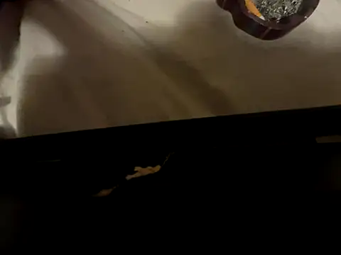 FreakNastyLacie online show from December 2025 05:00:02 AM