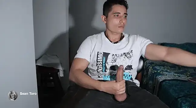 Snapshot of SeanToro chatting on December 2024 12:51:02 AM SeanToro online show from December 2024 12:51:02 AM