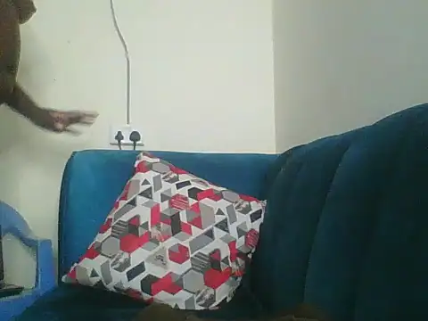 Heavy ass online show from March 2025 03:28:01 PM