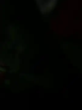 indiegirl666 online show from February 2026 04:33:01 AM