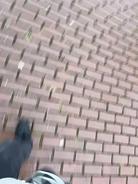 0maxx00 online show from December 2024 02:13:02 PM